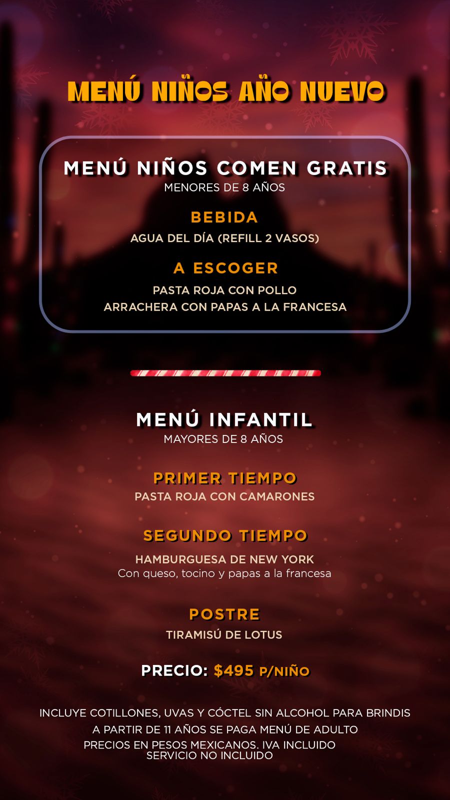 WhatsApp Image 2025-12-15 at 1.25.45 PM (1)